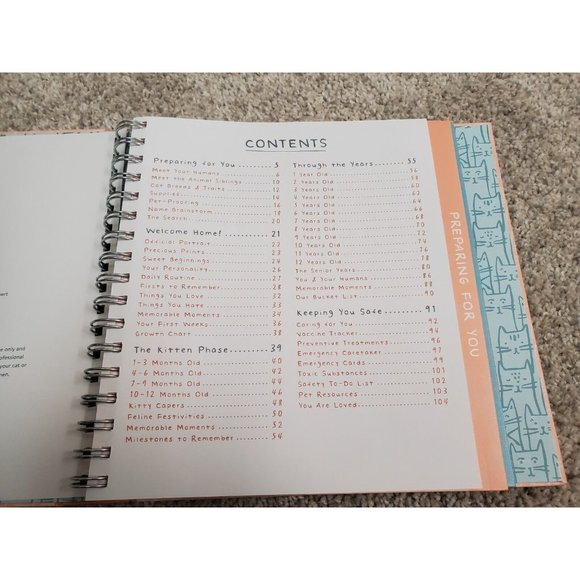 Orange Circle Studio It's a Cat! Guided Journal - Picture 2 of 9